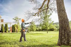 Best Pest Control for Lawns  in La Mesilla, NM