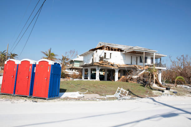 Best Emergency Tree Removal  in La Mesilla, NM